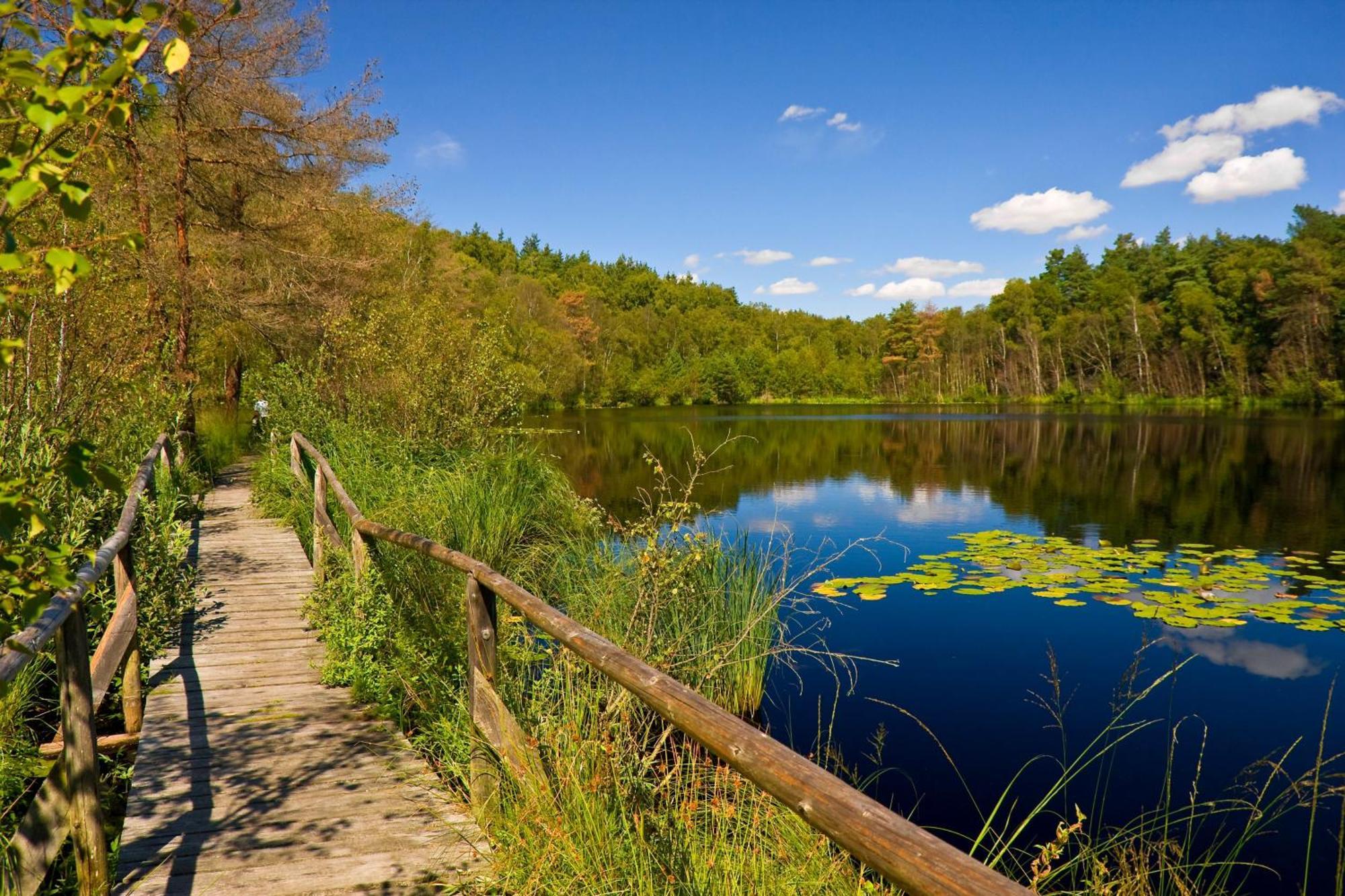Landhaus Mueritzgarten Hotel Garni Röbel Zewnętrze zdjęcie